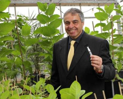 以色列生物科技新突破 利用煙草生產(chǎn)膠原蛋白及生物化工產(chǎn)品